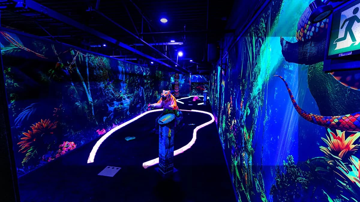 Mini Golf Guide: Tips for Beginners & Play Time