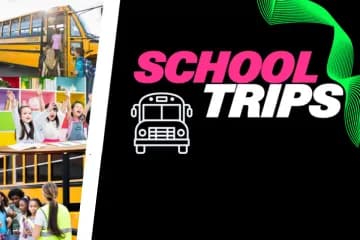 School /Groups